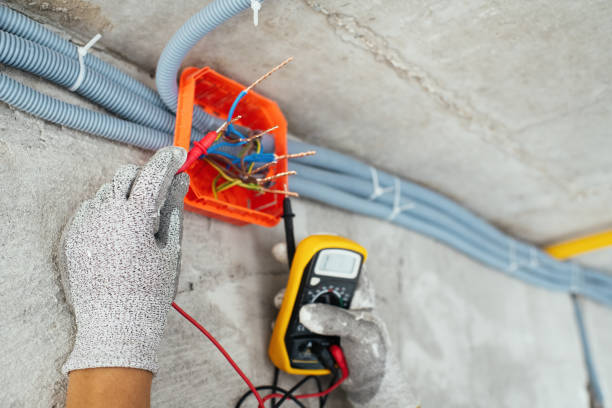 Best Electrical System Inspection  in Dana, NC